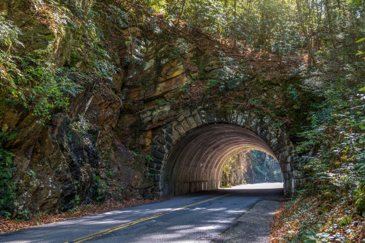 Waldens Creek Bearfoot Retreatヴィラ エクステリア 写真